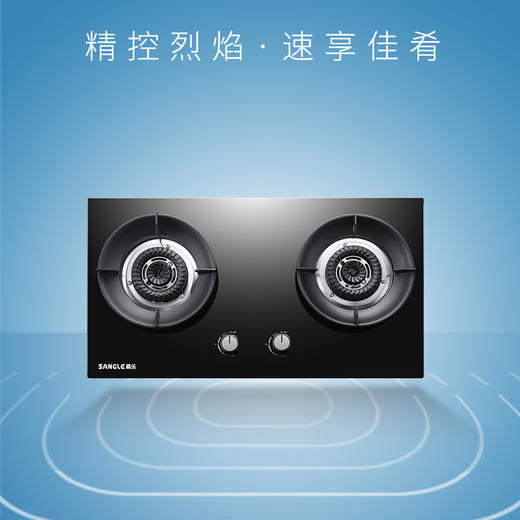 桑乐（SANGLE）灶具JZT-QL102B 商品图0