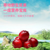 【有机】早康有机蔓越莓原浆210ml（30ml*7袋） 商品缩略图3
