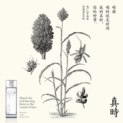 文王贡酒 真时1 真年份畅饮 42度500ml*4 商品图4