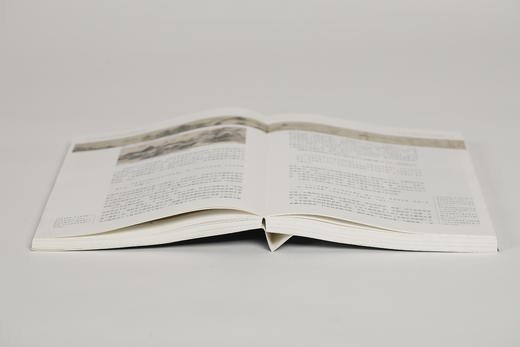 【现货】吴门具眼：明代苏州书画鉴藏（修订版） 黄朋 著 商品图14