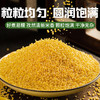 古贤挷翼碾小米(吸嘴袋 )250g*2袋 商品缩略图2