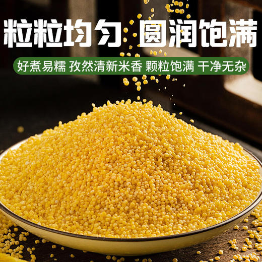古贤挷翼碾小米(吸嘴袋 )250g*2袋 商品图2