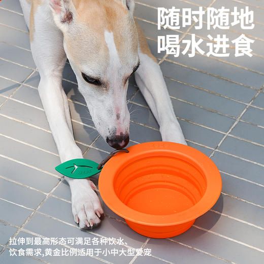 zeze苹果橘子出行折叠碗-B（包邮） 商品图3