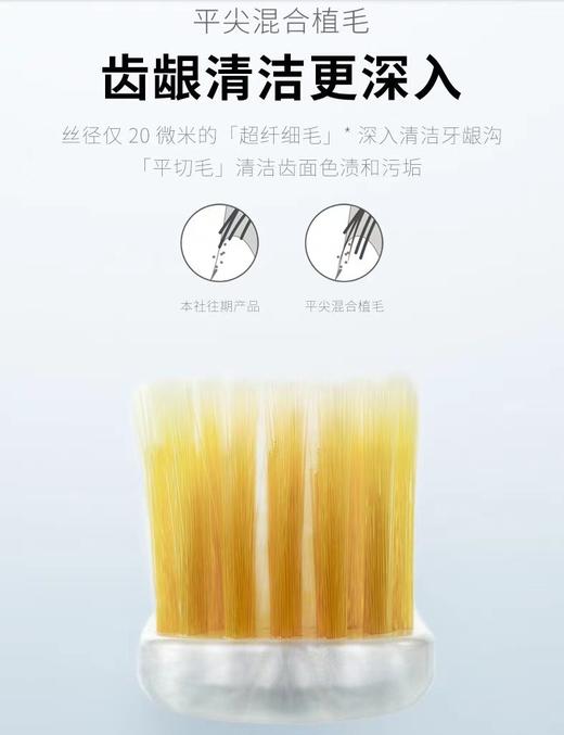 （一盒12支）顺带的福利 ！ 日本惠百施牙刷🇯🇵没有缺点的牙刷 商品图5