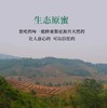 【高山美物】天然产自云南野生蜂蜜 成熟百花蜜 孕妇儿童放心吃 【少量老蜜混发 颜色更深 营养成分更高】 商品缩略图3
