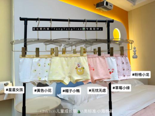 🔥【童童树儿童小海棉内裤6条装】➡️1、选择舒适、透气性强的棉氨制作而成，🌸棉氨精准配比，🔥品质可达A类婴幼儿标准，零甲醛 商品图2