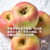 有机沙漠苹果（中通） | 合作生产 * Organic Desert Apple | Coproduction 商品缩略图1