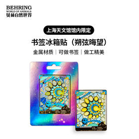 上海天文馆限定书签冰箱贴（朔弦晦望）