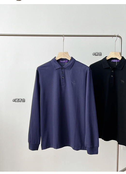 R.L 紫标同色刺绣 长袖翻领 POLO衫 CX170 商品图3