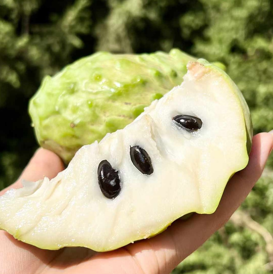 【顺丰快递】云南释迦果、水果中的冰淇淋、凤梨释迦果、果肉嫩滑如雪，甜过初恋