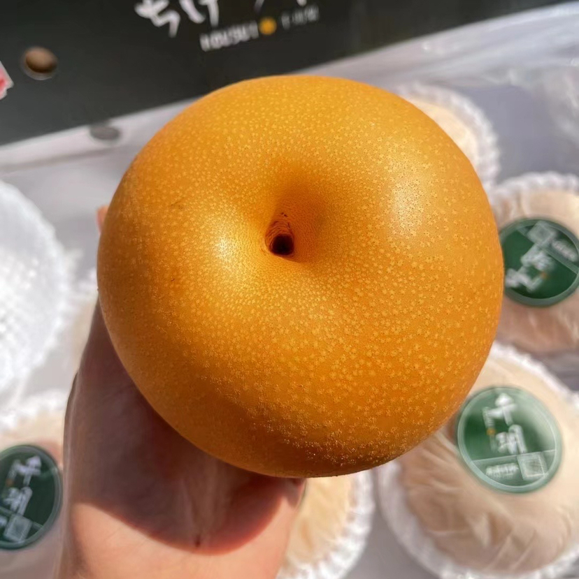 正宗冰糖秋月梨
