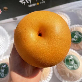 正宗冰糖秋月梨