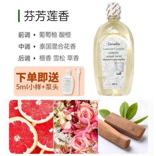 泰国芝芙莲giffarine内衣洗衣液内裤清洗剂  DNR 商品图1