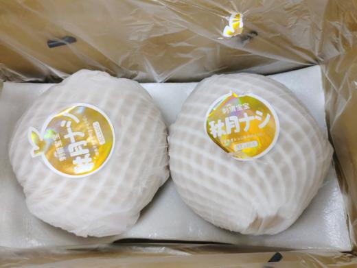 小箱刺猬秋月梨一箱 商品图2