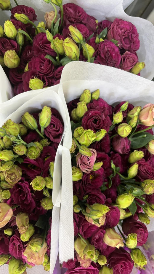 【洋桔梗】--酒红色，  若干枝/扎 商品图6