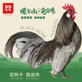 【线下卡专享】“鸡”祥如意大礼包 精选螺髻山乌骨公鸡/母鸡+20枚土鸡蛋组合