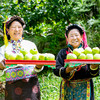 【果蔬精选】藏地高原青苹果 高原小金冠苹果 皮薄不涩 果香清雅 脆爽多汁 连皮都好吃 错过再等一年 商品缩略图4