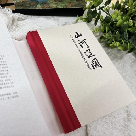 《山河辽阔》| 一个平凡而辉煌的“中国式家庭”家风教育读本 主人公殷医生特赠“六子巢恬睡饮液” 商品图2