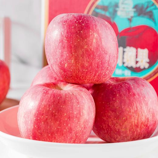 【陕西好物】洛川苹果 4.5斤 商品图0