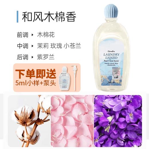 泰国芝芙莲giffarine内衣洗衣液内裤清洗剂  DNR 商品图3