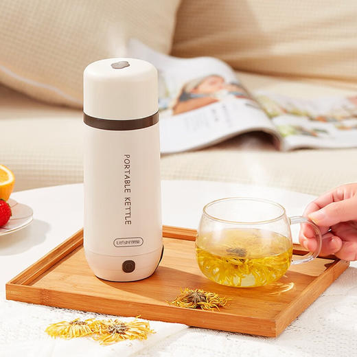 【小家电】丽特斐便携式烧水壶电热杯保温一体家用旅行宿舍烧水杯LW-K01 HF 商品图4