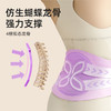 元气达人 分散压力矫姿护腰带（下单前私聊养生师享额外优惠） 商品缩略图4