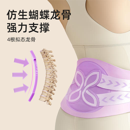 元气达人 分散压力矫姿护腰带（下单前私聊养生师享额外优惠） 商品图4