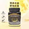瑞琪奥兰新西兰野地花蜂蜜500g/022791 自然精粹均衡营养 商品缩略图0