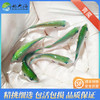 青魔Chromis viridis 商品缩略图0