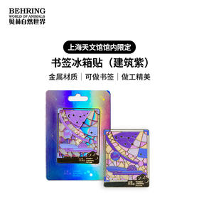 上海天文馆限定书签冰箱贴（建筑）紫