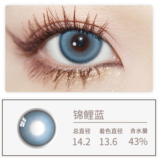 Darrens 锦鲤蓝日抛 (10片装） 商品图1