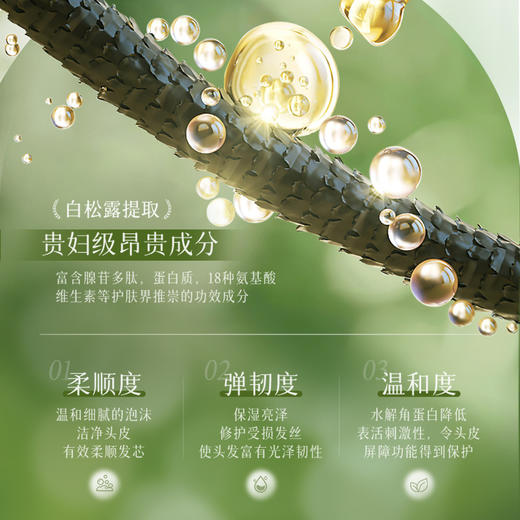 BISUTANG碧素堂柔顺控油洗发水 去屑止痒 清爽控油 白松露洗发水500ml 商品图2