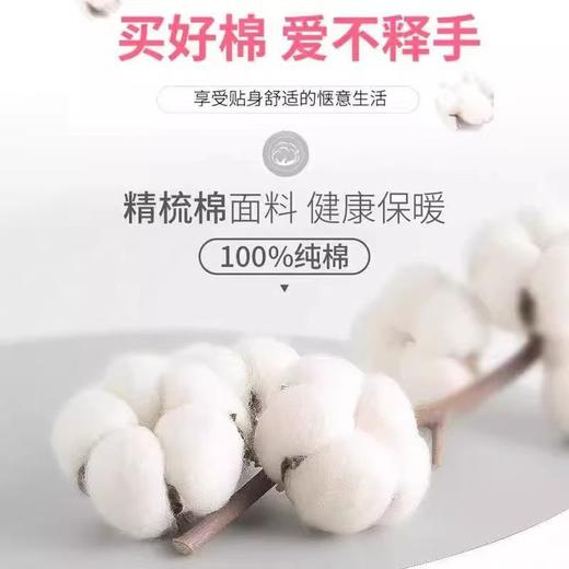 女士中老年纯棉开衫秋衣前开扣前面棉毛衫加肥加大码宽松内衣 商品图1