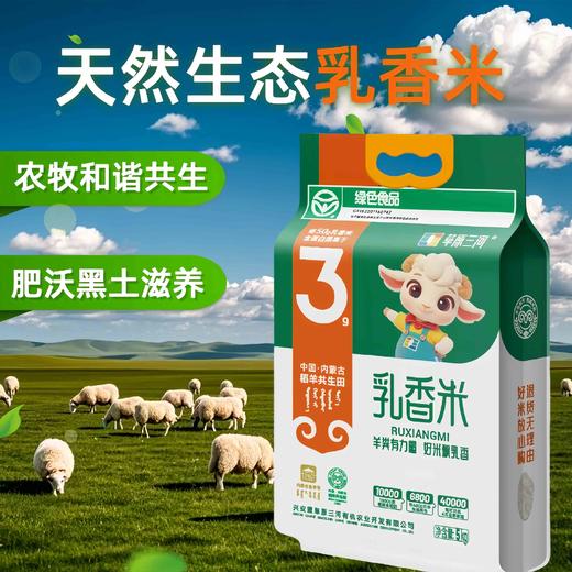 【内蒙古草原 乳香米】绿色食品认证，品质超凡，回甘回甜，软糯Q弹，0陈粮0添加，全家放心吃。 商品图2