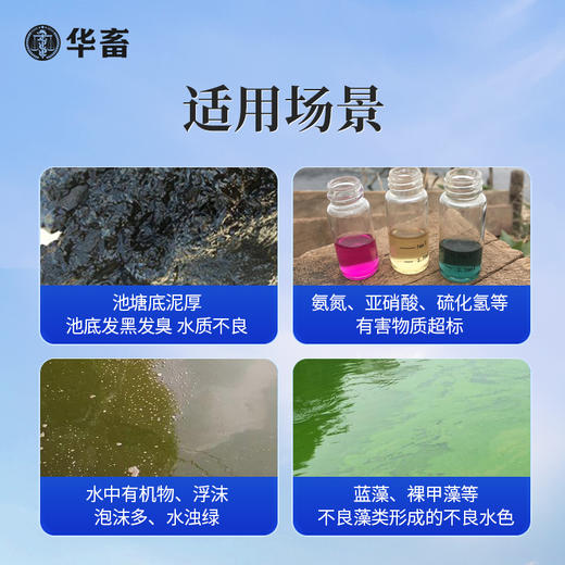 华畜底改王水产养殖小龙虾蟹鱼塘调水增氧改底片过硫酸氢钾复合盐 商品图3