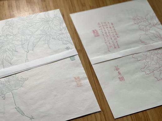 《龢庵花笺》、《毅然花笺》—— 名动文美斋  流光杨柳青 商品图9