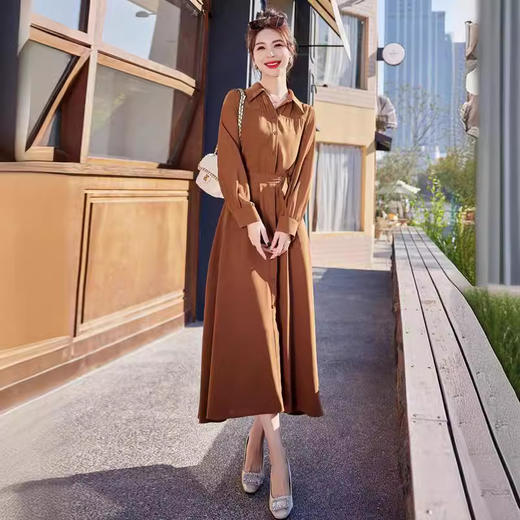雀说 连衣裙女春秋季新款时尚气质系带收腰显瘦今年流行长裙子4ZF-2539 商品图3