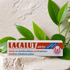 乐卡露牙龈柔护牙膏 100ml/支