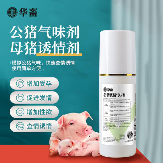 公猪诱情气味剂 100ml/瓶 促进发情 增加受孕 商品图0