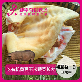 猪耳朵一对