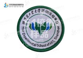 通版哈尔滨工业大学（深圳）实验学校织唛校徽贴章可缝烫现货发51