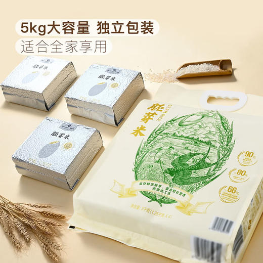 MM 山姆 Member's Mark 胚芽米 5kg（1.25kg*4） 商品图2