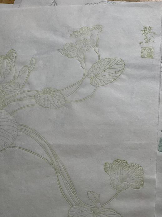 《龢庵花笺》、《毅然花笺》—— 名动文美斋  流光杨柳青 商品图6