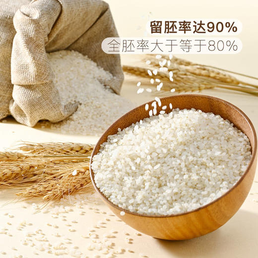 MM 山姆 Member's Mark 胚芽米 5kg（1.25kg*4） 商品图5