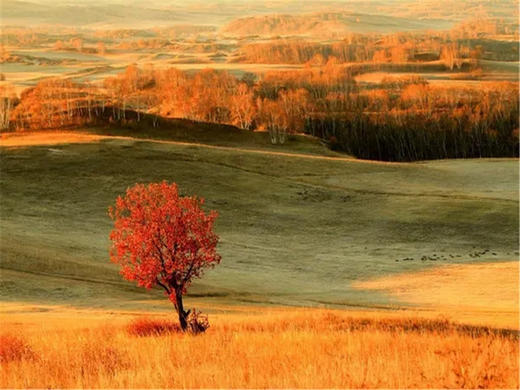 五一2日【坝上草原】坝上正确打开方式の摄影、骑马、篝火、烤全羊、卡拉OK 商品图14