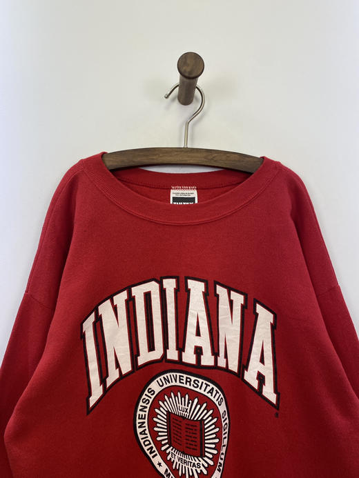 Y2K Vintage TULTEX 卫衣 _SLSS(XL) 商品图0