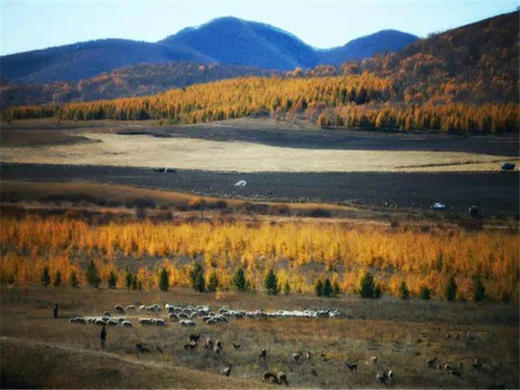 五一2日【坝上草原】坝上正确打开方式の摄影、骑马、篝火、烤全羊、卡拉OK 商品图13