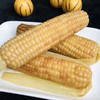 版纳香糯小玉米 2kg/件（低脂代餐 香糯美味） 商品缩略图2