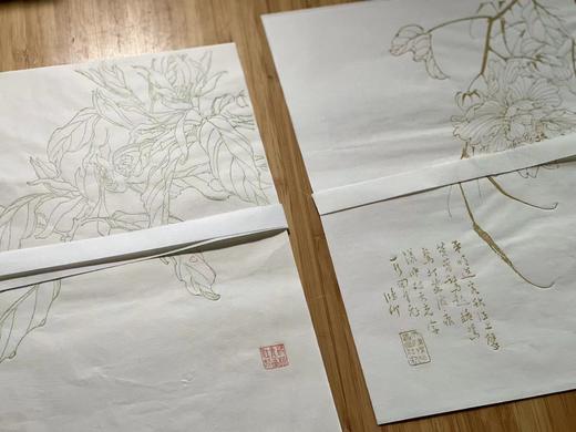 《龢庵花笺》、《毅然花笺》—— 名动文美斋  流光杨柳青 商品图7