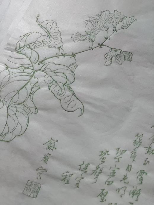 《龢庵花笺》、《毅然花笺》—— 名动文美斋  流光杨柳青 商品图4